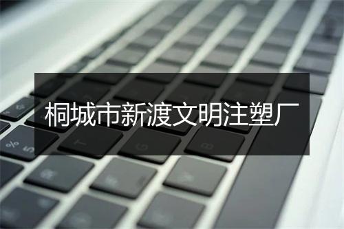 桐城市新渡文明注塑厂