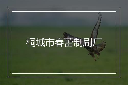 桐城市春蕾制刷厂