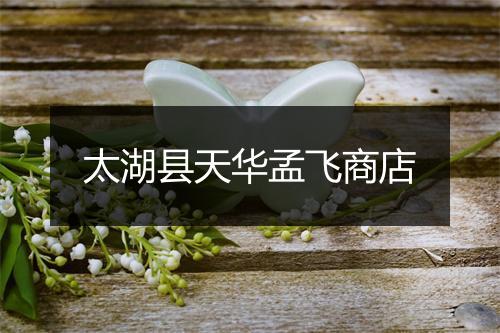 太湖县天华孟飞商店