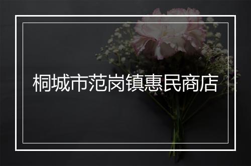 桐城市范岗镇惠民商店