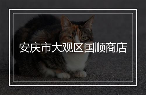 安庆市大观区国顺商店