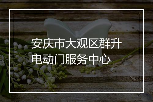 安庆市大观区群升电动门服务中心