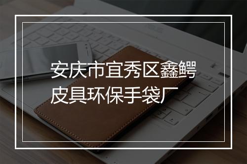 安庆市宜秀区鑫鳄皮具环保手袋厂