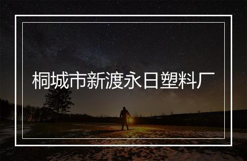 桐城市新渡永日塑料厂