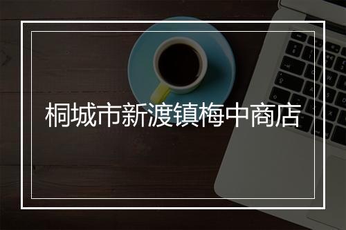 桐城市新渡镇梅中商店