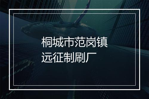 桐城市范岗镇远征制刷厂