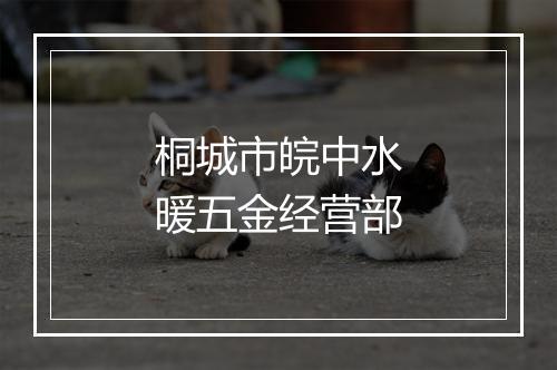 桐城市皖中水暖五金经营部