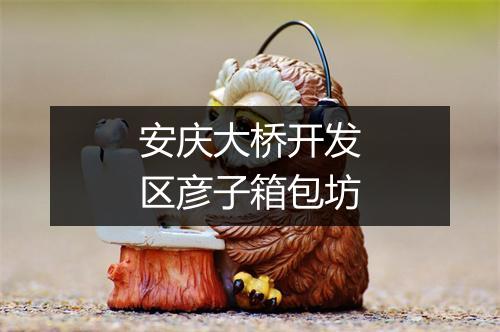 安庆大桥开发区彦子箱包坊