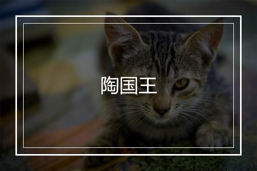 陶国王