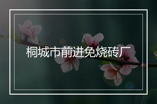 桐城市前进免烧砖厂