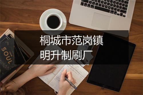 桐城市范岗镇明升制刷厂