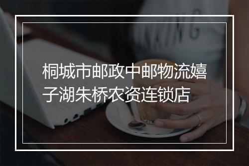 桐城市邮政中邮物流嬉子湖朱桥农资连锁店