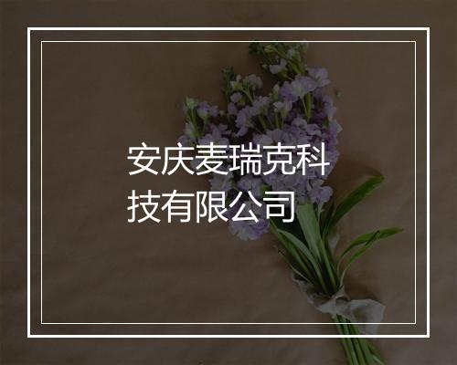 安庆麦瑞克科技有限公司