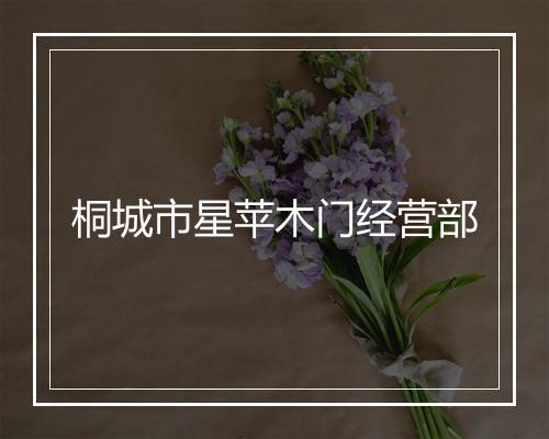 桐城市星苹木门经营部