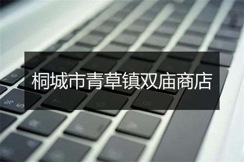 桐城市青草镇双庙商店