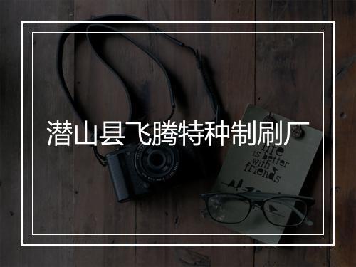 潜山县飞腾特种制刷厂