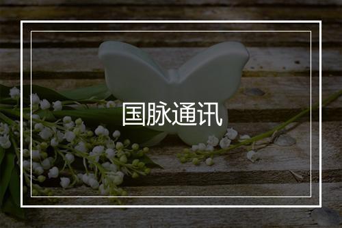 国脉通讯