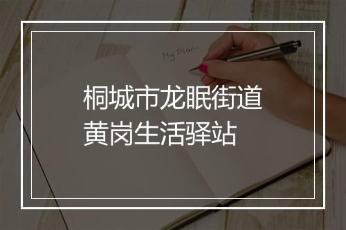 桐城市龙眠街道黄岗生活驿站