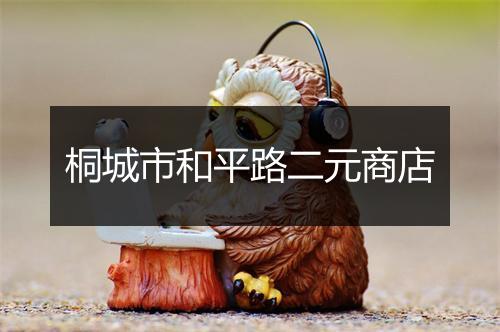 桐城市和平路二元商店
