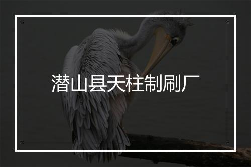 潜山县天柱制刷厂
