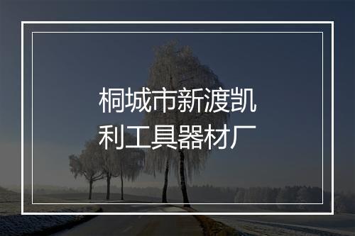 桐城市新渡凯利工具器材厂