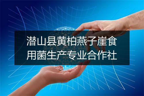 潜山县黄柏燕子崖食用菌生产专业合作社