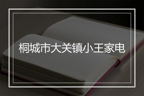 桐城市大关镇小王家电