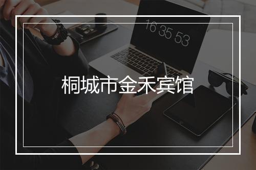 桐城市金禾宾馆