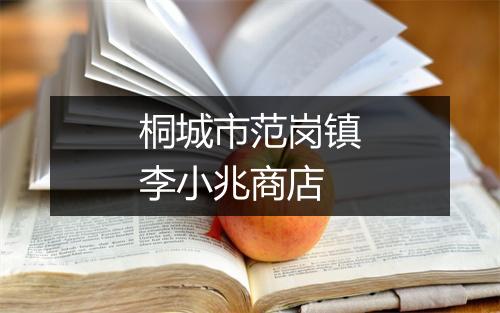 桐城市范岗镇李小兆商店
