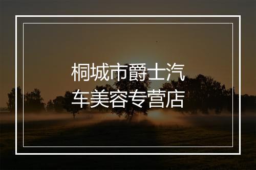 桐城市爵士汽车美容专营店