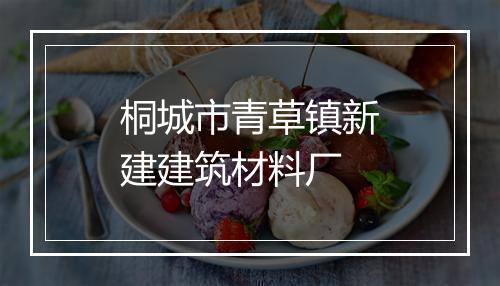 桐城市青草镇新建建筑材料厂