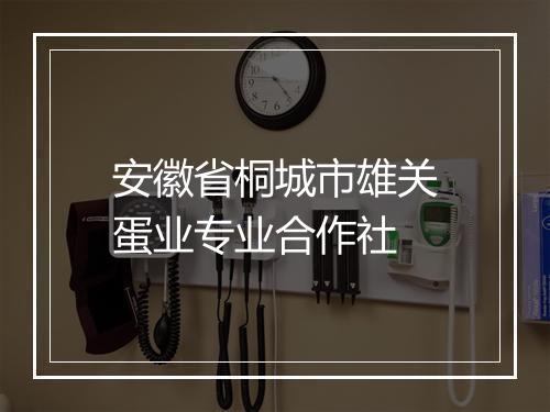 安徽省桐城市雄关蛋业专业合作社