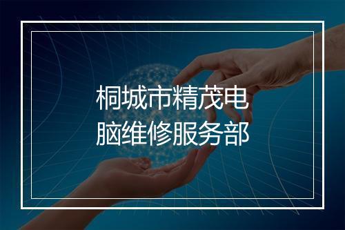 桐城市精茂电脑维修服务部