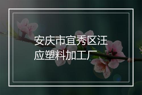 安庆市宜秀区汪应塑料加工厂