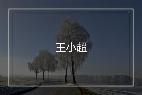 王小超