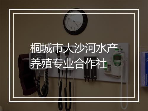 桐城市大沙河水产养殖专业合作社