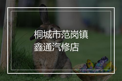 桐城市范岗镇鑫通汽修店
