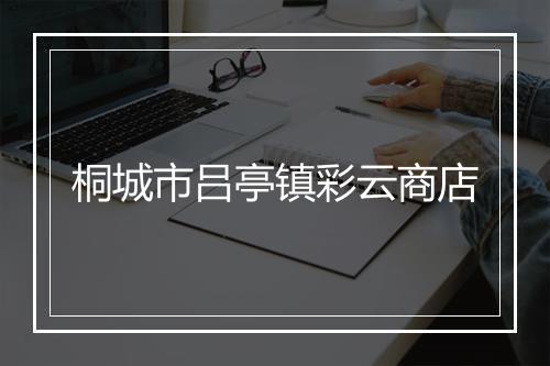 桐城市吕亭镇彩云商店