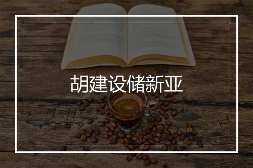 胡建设储新亚