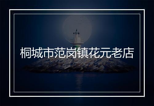 桐城市范岗镇花元老店
