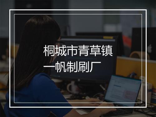 桐城市青草镇一帆制刷厂