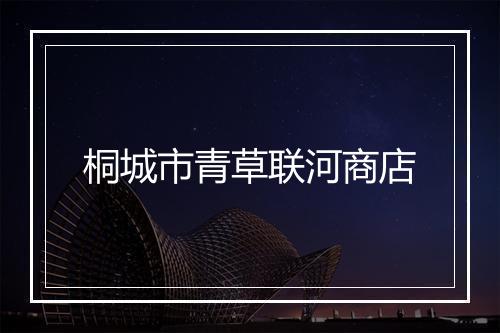 桐城市青草联河商店