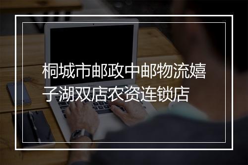 桐城市邮政中邮物流嬉子湖双店农资连锁店