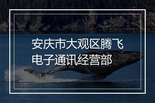 安庆市大观区腾飞电子通讯经营部