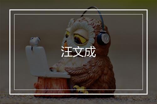 汪文成