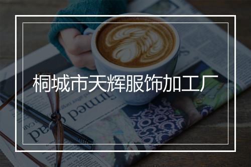 桐城市天辉服饰加工厂