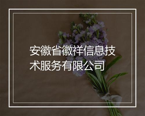 安徽省徽祥信息技术服务有限公司