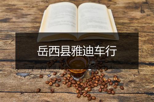 岳西县雅迪车行