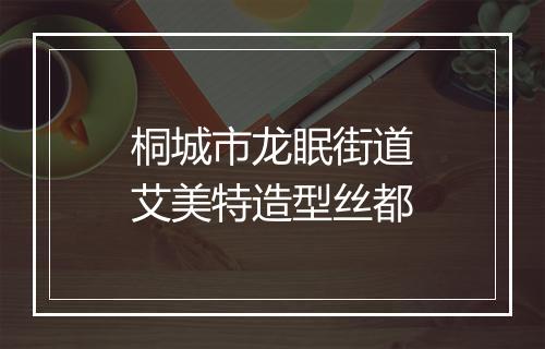 桐城市龙眠街道艾美特造型丝都