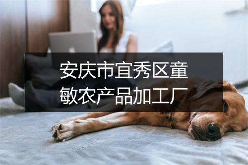 安庆市宜秀区童敏农产品加工厂